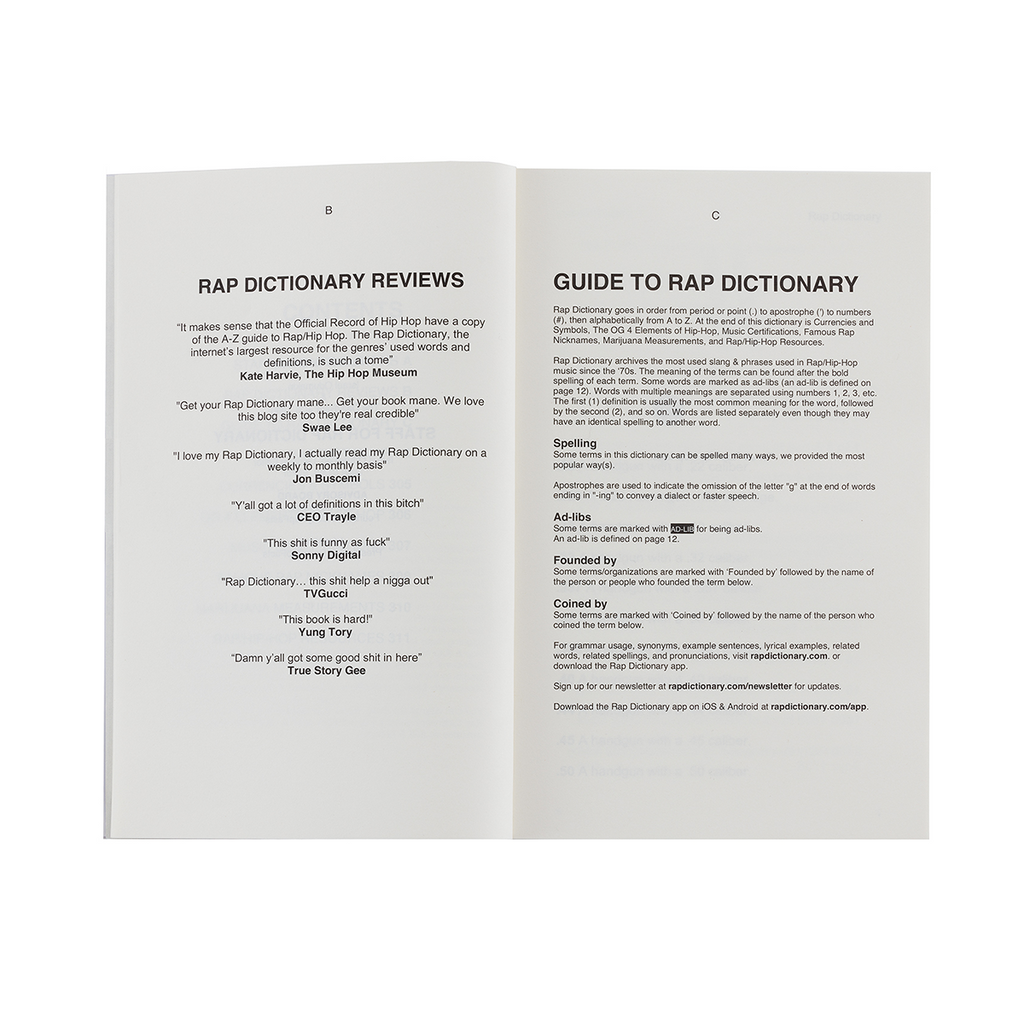 Open book showing pages with text on 'Rap Dictionary Reviews' and 'Guide to Rap Dictionary'.