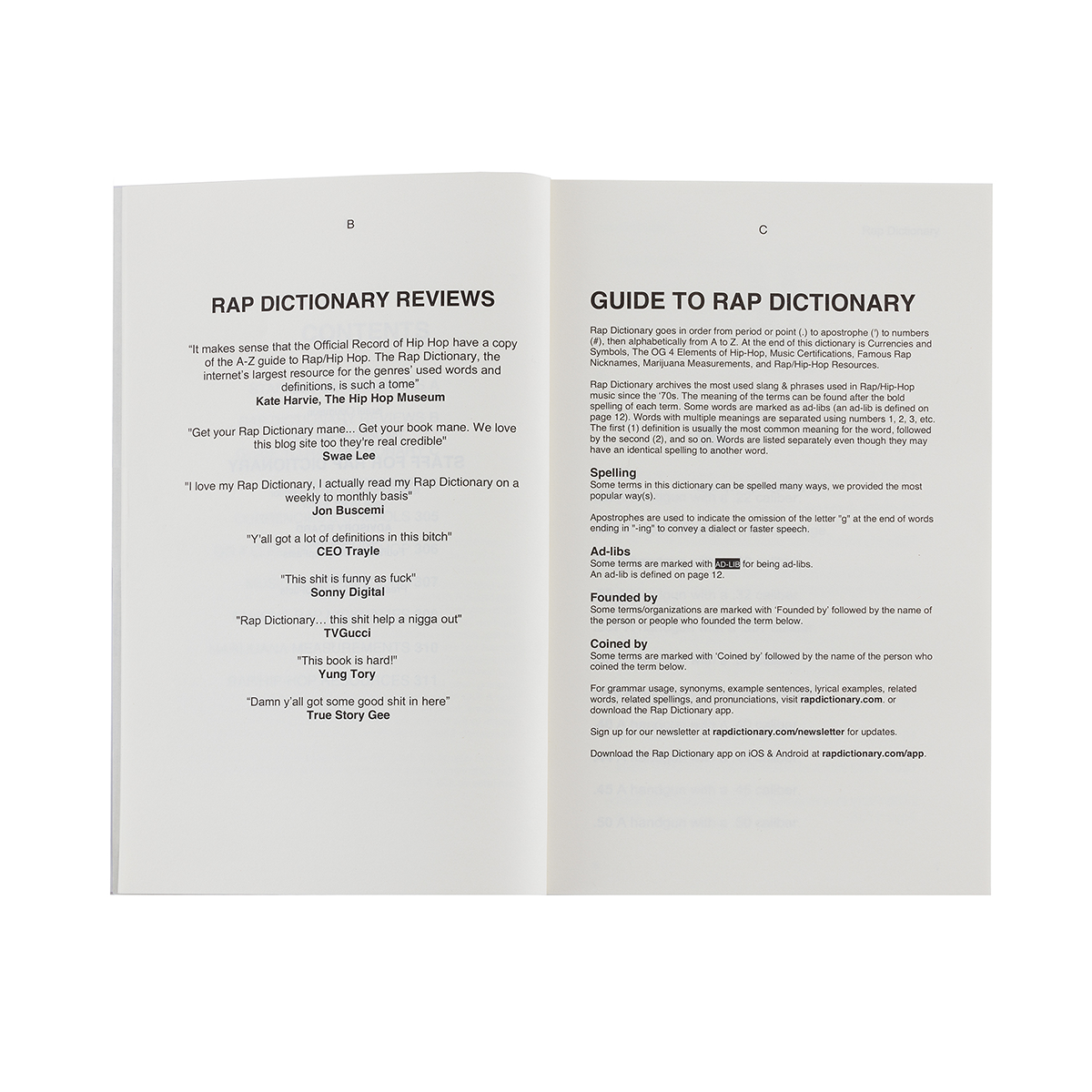 Open book showing pages with text on 'Rap Dictionary Reviews' and 'Guide to Rap Dictionary'.