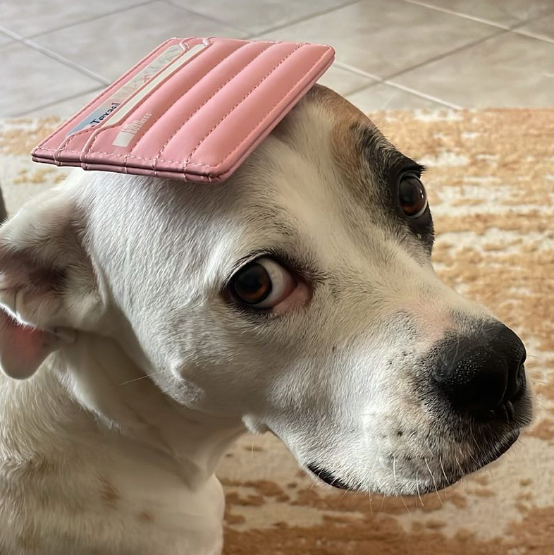 Puffer Card Holder Wallet